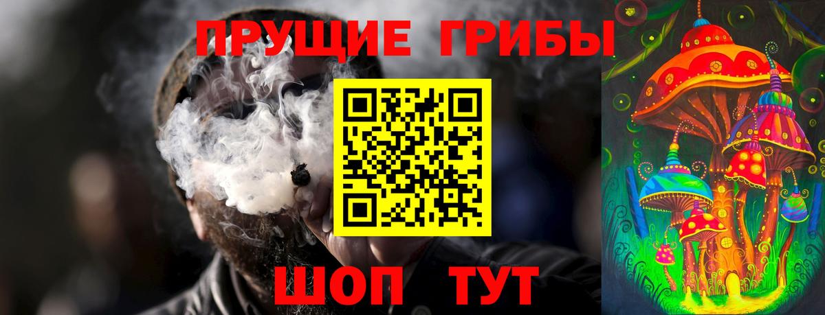 Галлюциногенные грибы Psilocybe Кисловодск