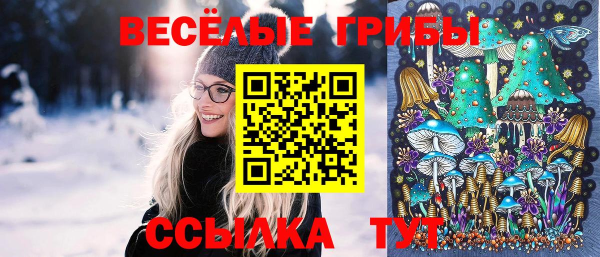 Галлюциногенные грибы Psilocybine cubensis  Вход с VPN  Кисловодск 